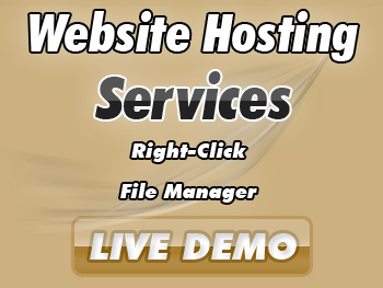 Website Hosting
